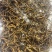 营养丰富的新鲜冬虫夏草，源头价格，中间没有任何环节，