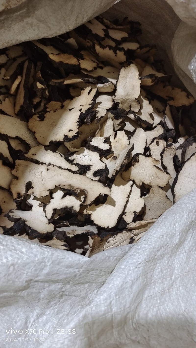 猪苓河南干货各种规格2斤起包邮