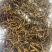 营养丰富的新鲜冬虫夏草，源头价格，中间没有任何环节，