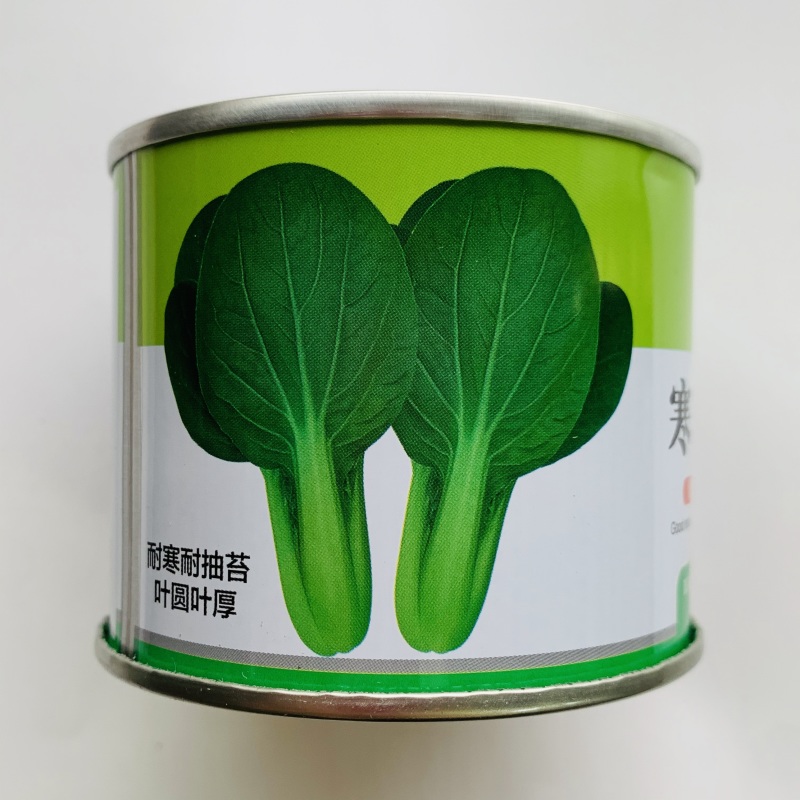 德赛寒美美青梗菜种子耐寒耐抽苔油亮型青菜种子抗寒秋冬蔬菜