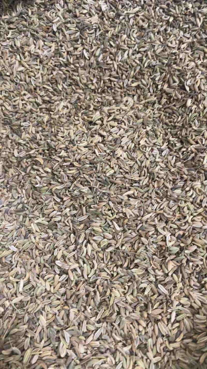 小茴香精选好货产品实拍调味佳品