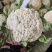 松花菜《实力》安徽花菜有机花菜白面散花小米粒现货