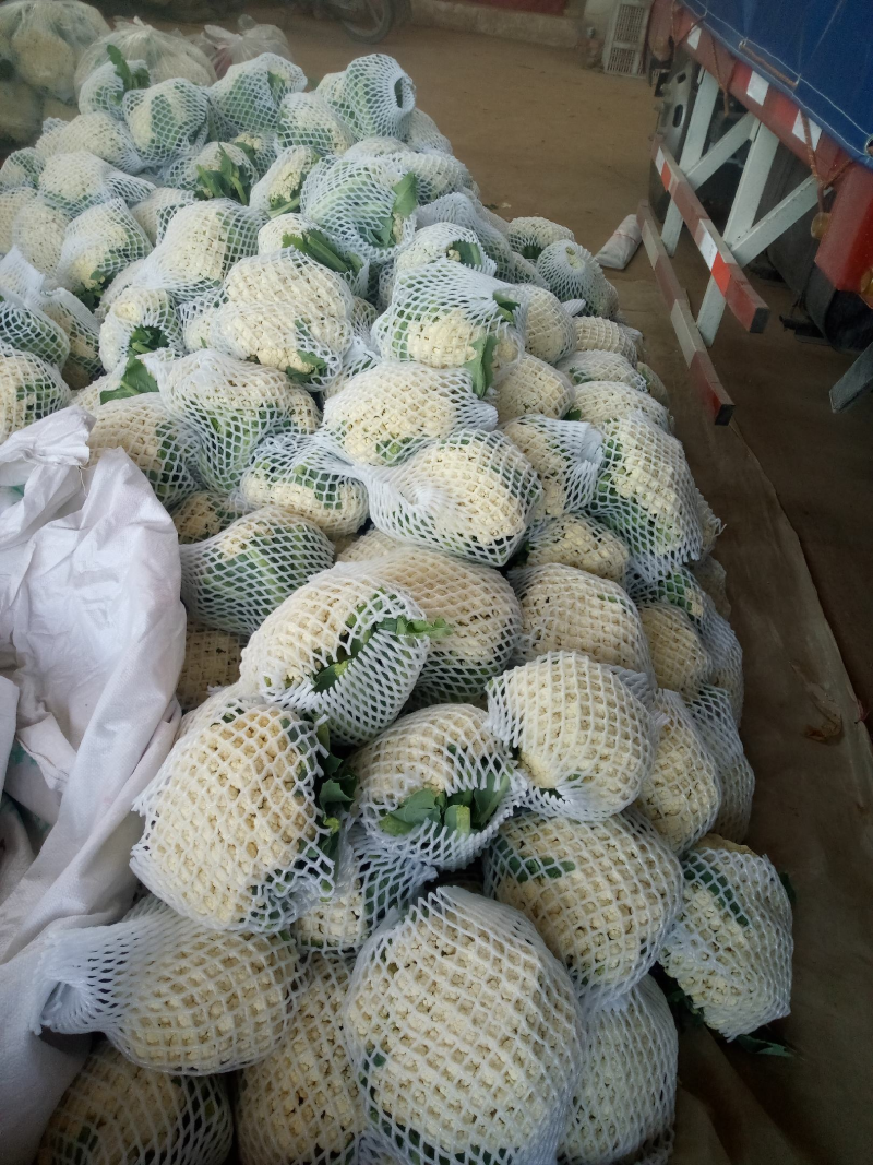 松花菜《实力》安徽花菜有机花菜白面散花小米粒现货