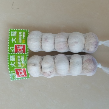 金乡大蒜济宁紫皮大蒜蒜头把子蒜承接进出口批发加工餐饮