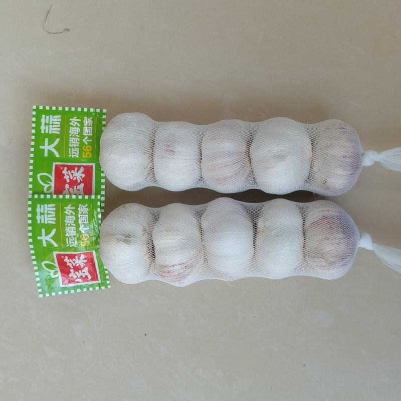 金乡大蒜济宁紫皮大蒜蒜头把子蒜承接进出口批发加工餐饮