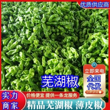 《芜湖椒》安徽鲜辣椒砀山芜湖椒现摘基地直供全国发