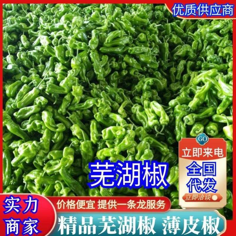 《芜湖椒》安徽鲜辣椒砀山芜湖椒现摘基地直供全国发