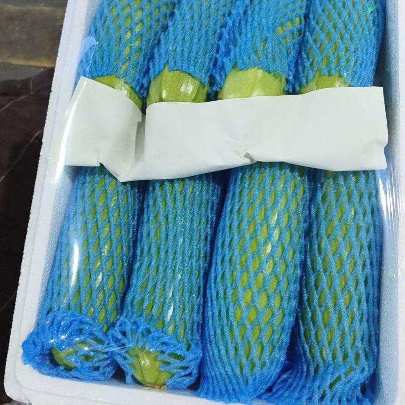 西葫芦
