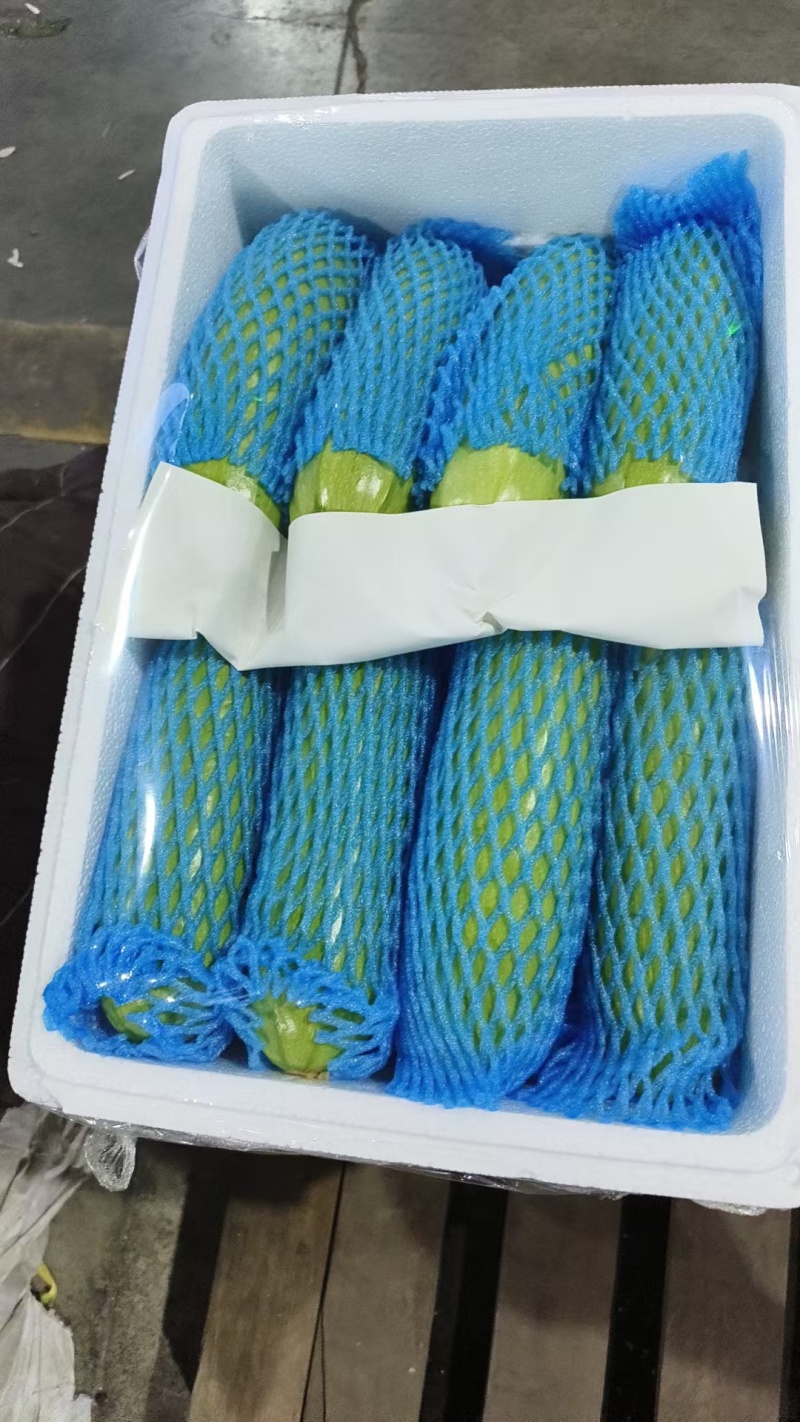 西葫芦