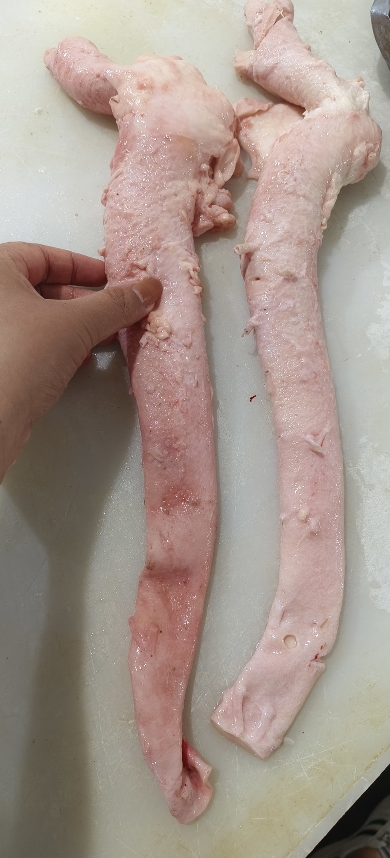 牛心管