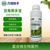 豆角荚多宝芸豆扁豆四季豆菜豆豆角豆类拉长拉直保花利荚