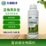 豆角荚多宝芸豆扁豆四季豆菜豆豆角豆类拉长拉直保花利荚