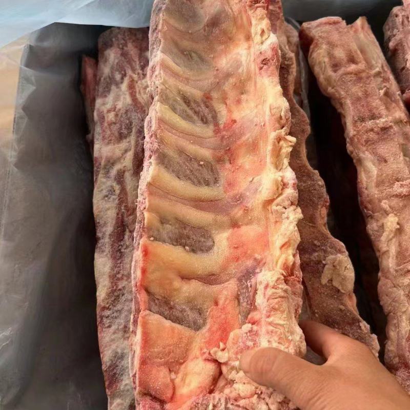厂家直销精品牛脊骨21厂牛脊骨300四十斤一手货源