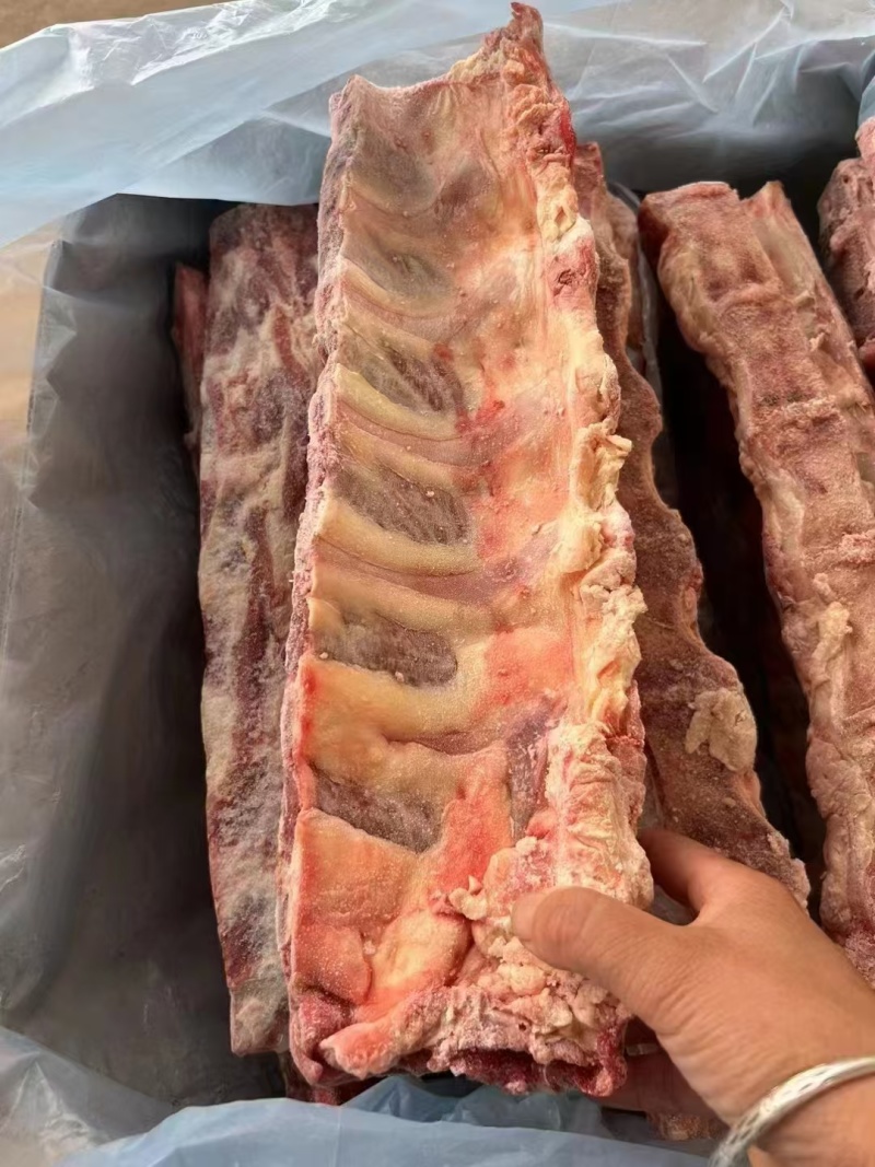 厂家直销精品牛脊骨21厂牛脊骨300四十斤一手货源
