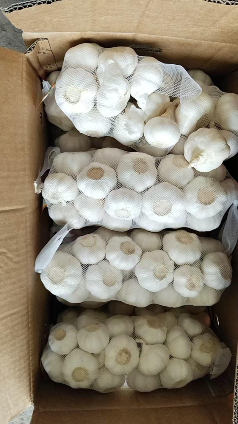 大蒜，杀菌消炎，每天来两瓣，健康又长寿。欢迎来电！！