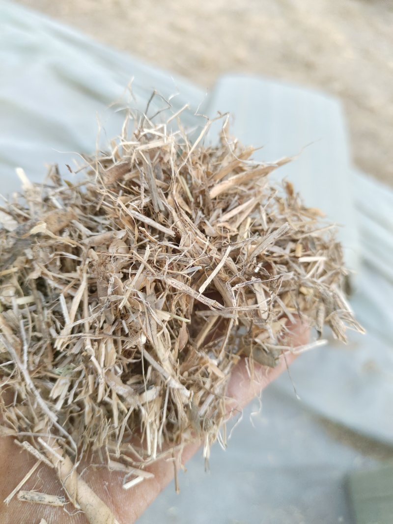 常年供应优质小麦秸秆，玉米秸秆、黄豆秸秆、花生秧秸秆草料