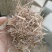 常年供应优质小麦秸秆，玉米秸秆、黄豆秸秆、花生秧秸秆草料