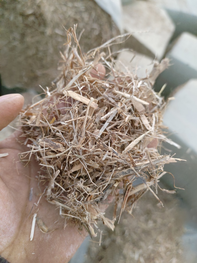 常年供应优质小麦秸秆，玉米秸秆、黄豆秸秆、花生秧秸秆草料