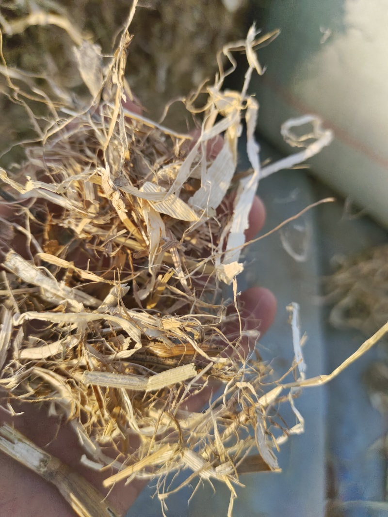 常年供应优质小麦秸秆，玉米秸秆、黄豆秸秆、花生秧秸秆草料