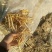 常年供应优质小麦秸秆，玉米秸秆、黄豆秸秆、花生秧秸秆草料