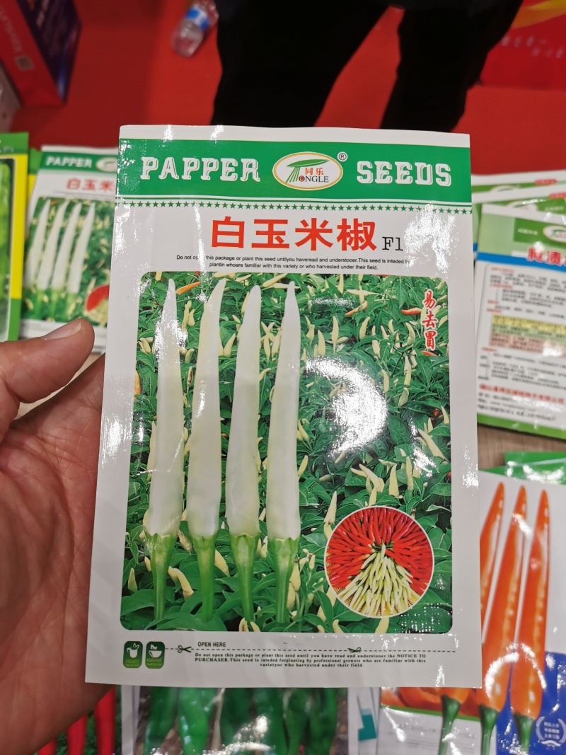 小米椒种子白玉小米辣种籽早中熟泡椒白米椒野山椒基地