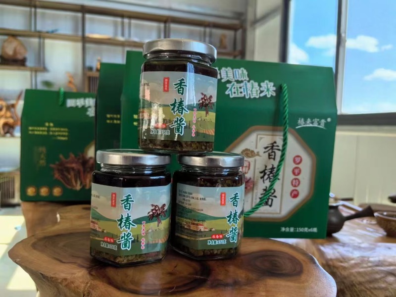 【香椿酱】云南香椿酱大量供货产地直发货源稳定正宗红油香椿酱