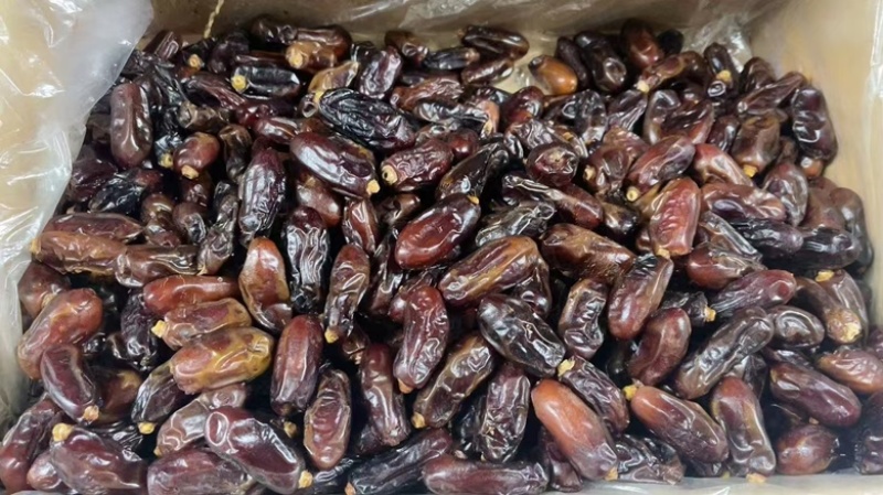 伊朗黑椰枣