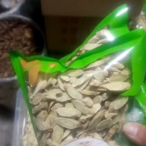 甘肃道地精品黄芪指甲片