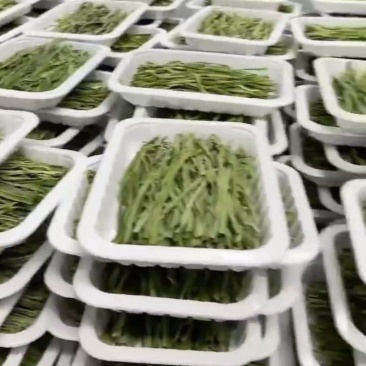 托盘盒装贡菜云南干贡菜货源稳定对接市场商超火锅店代发全国