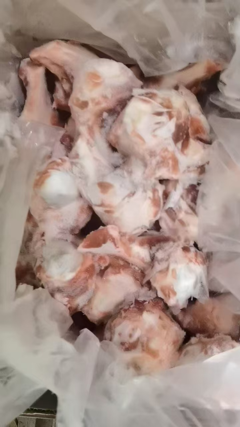 0703前腿骨