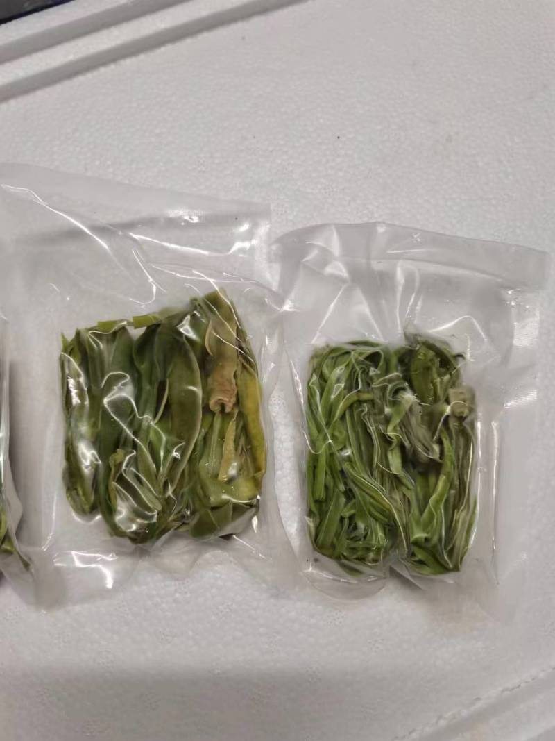 云南贡菜真空包装优质火锅干贡菜货源稳定产地直发量大优惠