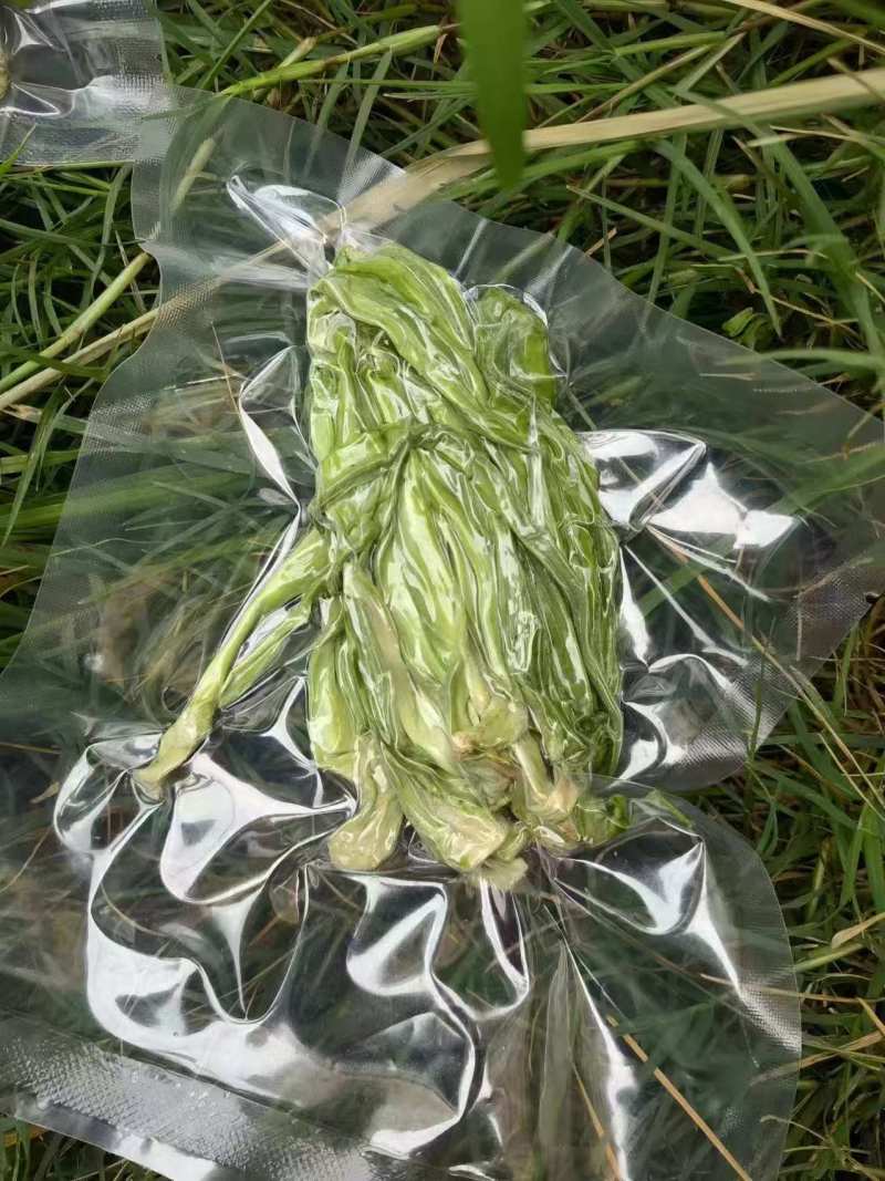 云南贡菜真空包装优质火锅干贡菜货源稳定产地直发量大优惠