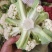 松花菜《推荐》安徽花菜有机花菜白面散花小米粒现货
