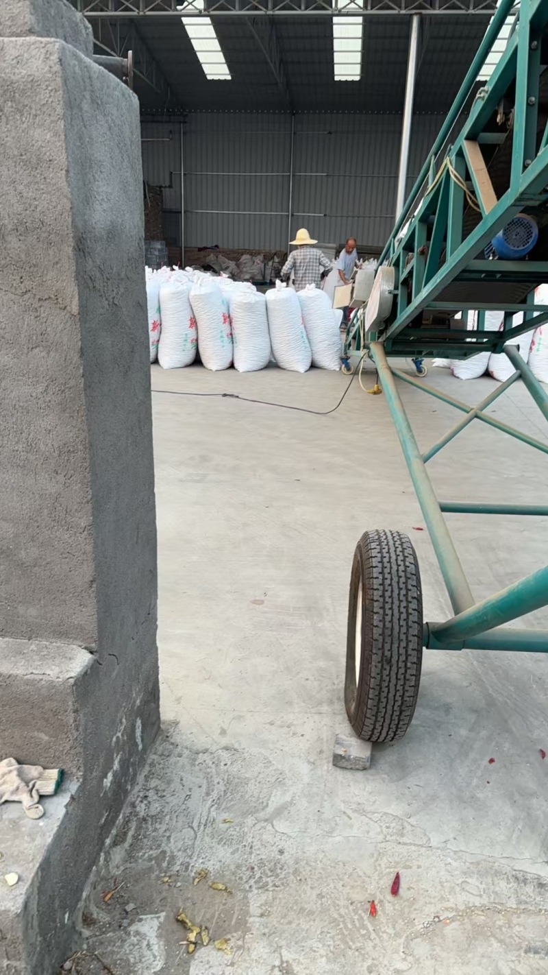河南精品三樱椒干辣椒产地直发品质保证量大从优