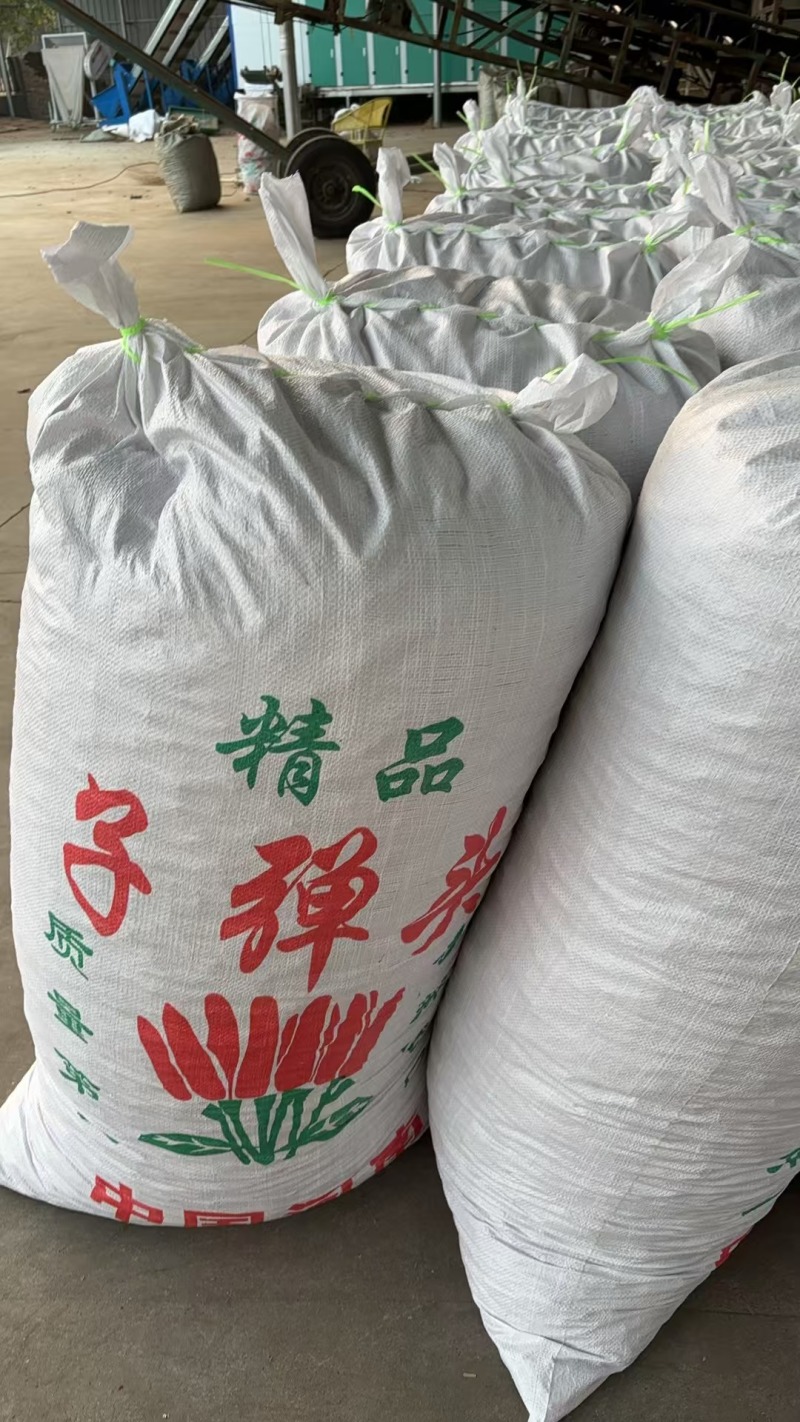 河南精品三樱椒干辣椒产地直发品质保证量大从优
