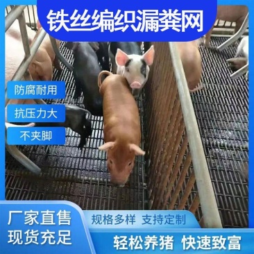 钢丝猪床网养羊漏粪铁丝网母猪产床网保育网育肥猪脚踏网狗笼