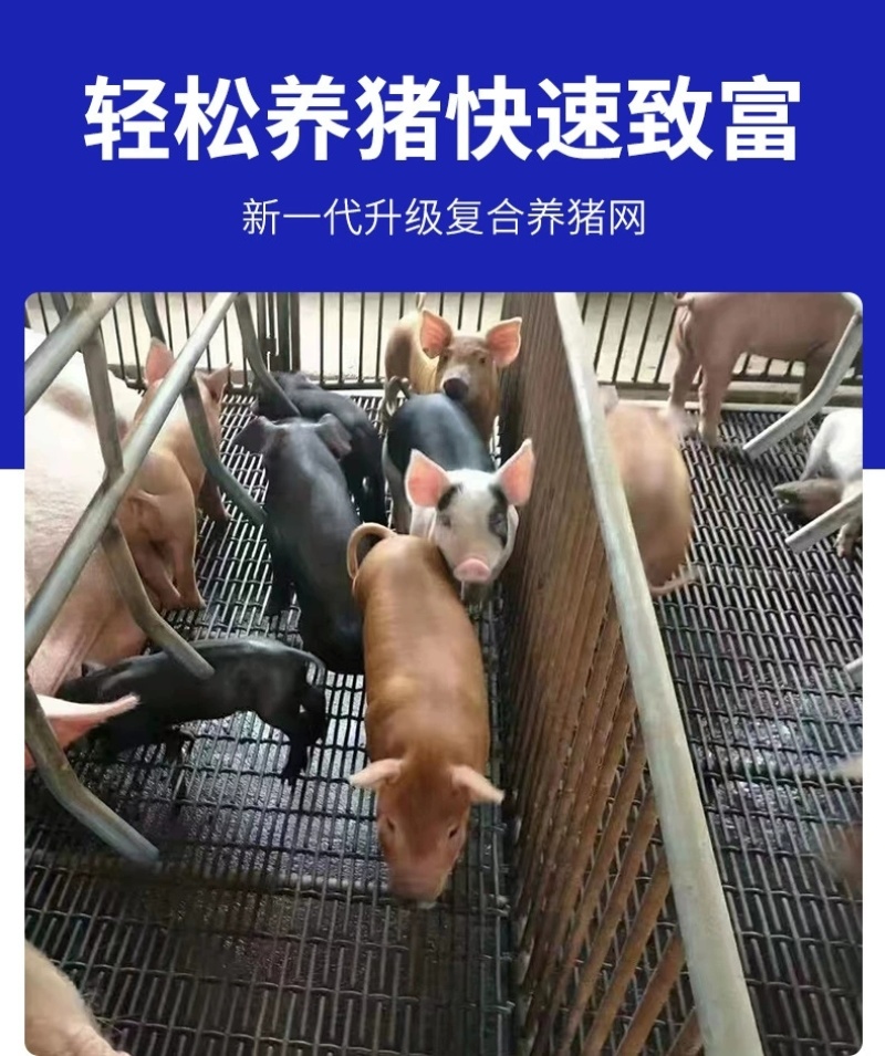 钢丝猪床网养羊漏粪铁丝网母猪产床网保育网育肥猪脚踏网狗笼