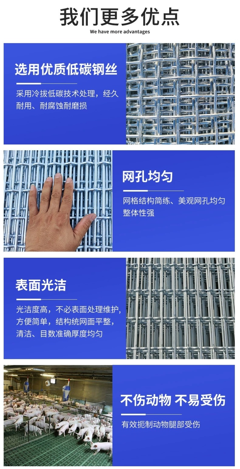 钢丝猪床网养羊漏粪铁丝网母猪产床网保育网育肥猪脚踏网狗笼