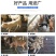 钢丝猪床网养羊漏粪铁丝网母猪产床网保育网育肥猪脚踏网狗笼
