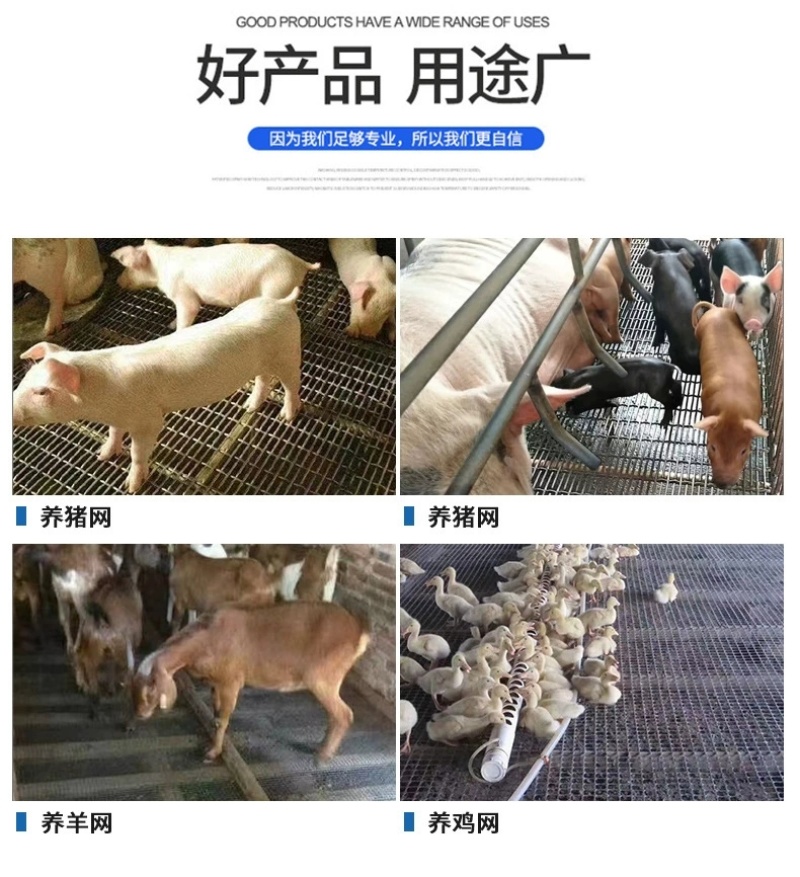 钢丝猪床网养羊漏粪铁丝网母猪产床网保育网育肥猪脚踏网狗笼