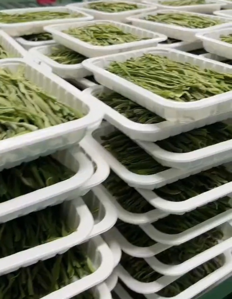 托盘盒装贡菜云南干贡菜货源稳定对接市场商超火锅店代发全国