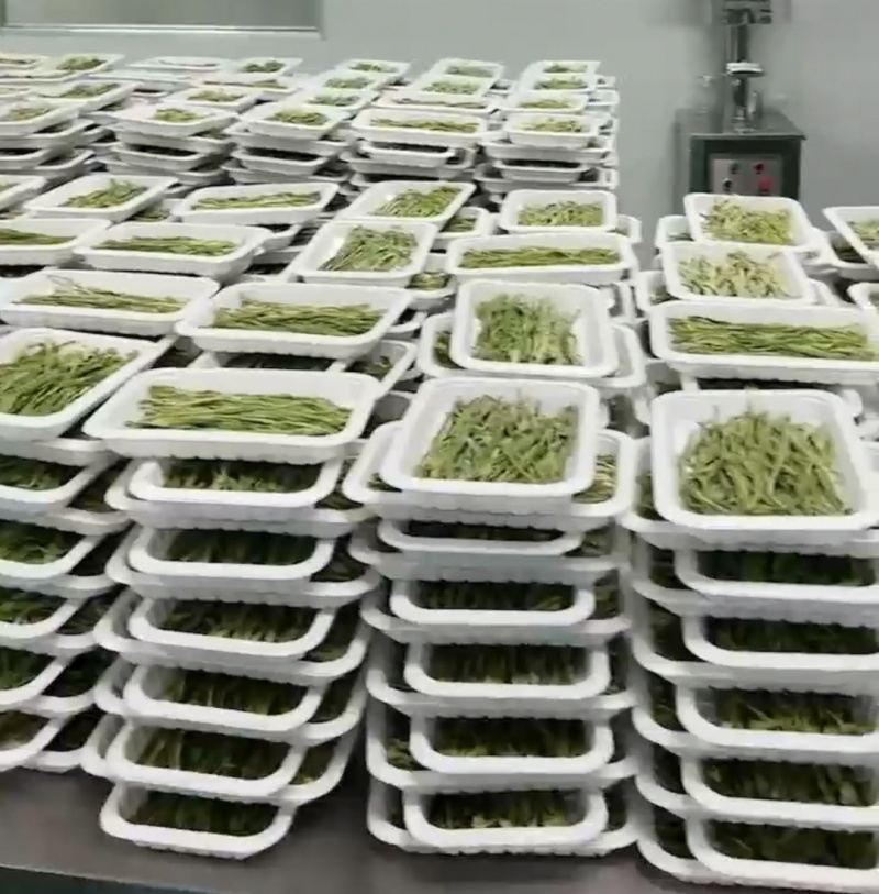 托盘盒装贡菜云南干贡菜货源稳定对接市场商超火锅店代发全国