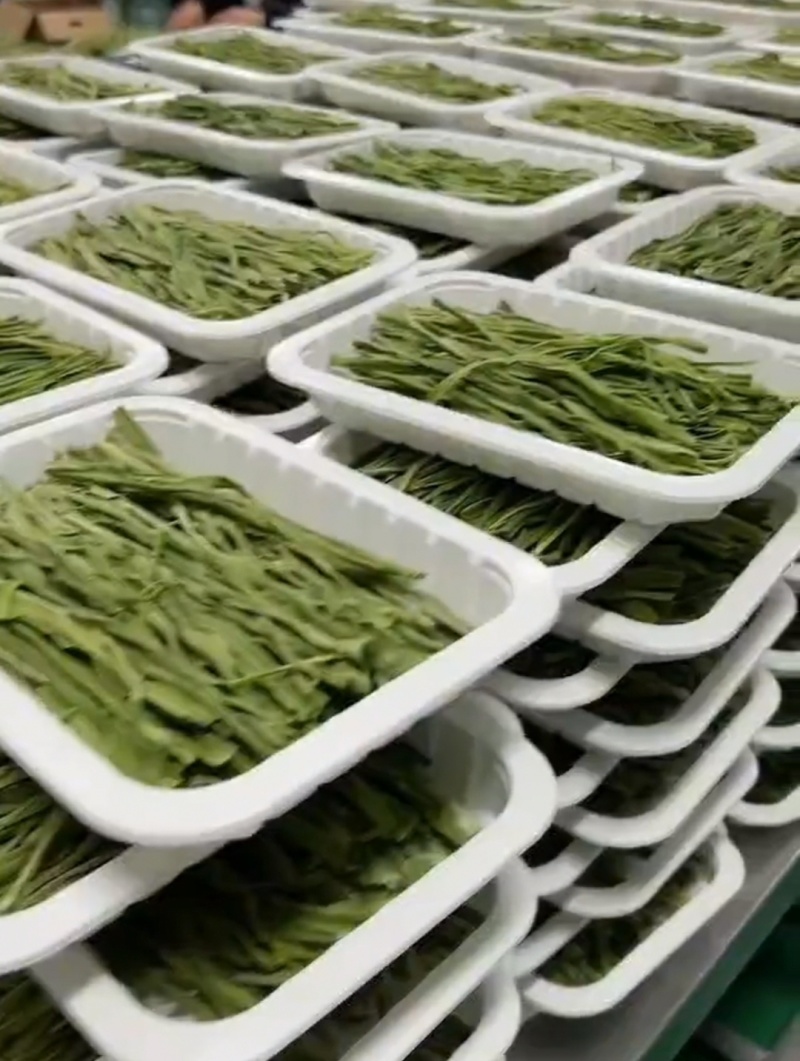 托盘盒装贡菜云南干贡菜货源稳定对接市场商超火锅店代发全国