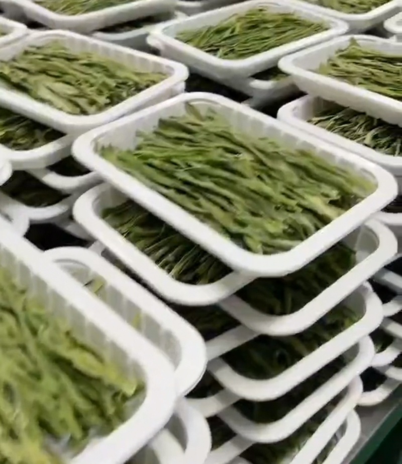 托盘盒装贡菜云南干贡菜货源稳定对接市场商超火锅店代发全国