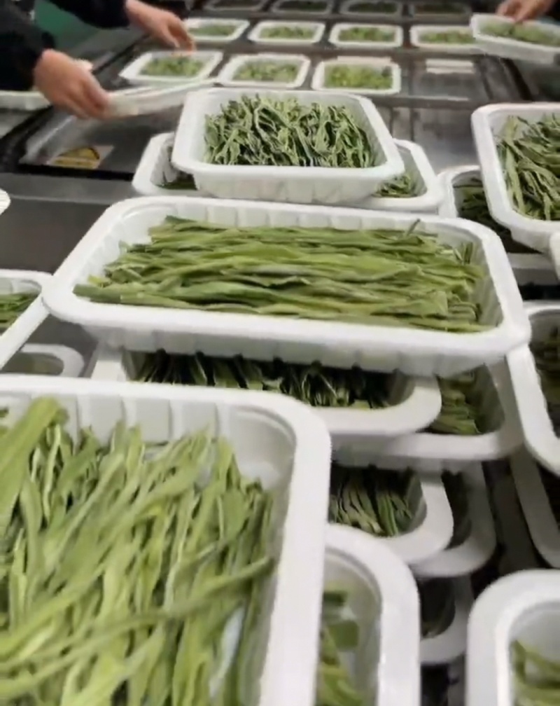 托盘盒装贡菜云南干贡菜货源稳定对接市场商超火锅店代发全国