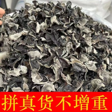 野生黑木耳高泡发率产地黑龙江欢迎来电咨询