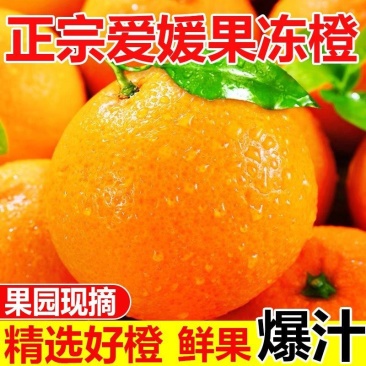 正宗四川爱媛38号果冻橙量大从优全国发货现摘现发