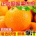 正宗四川爱媛38号果冻橙量大从优全国发货现摘现发