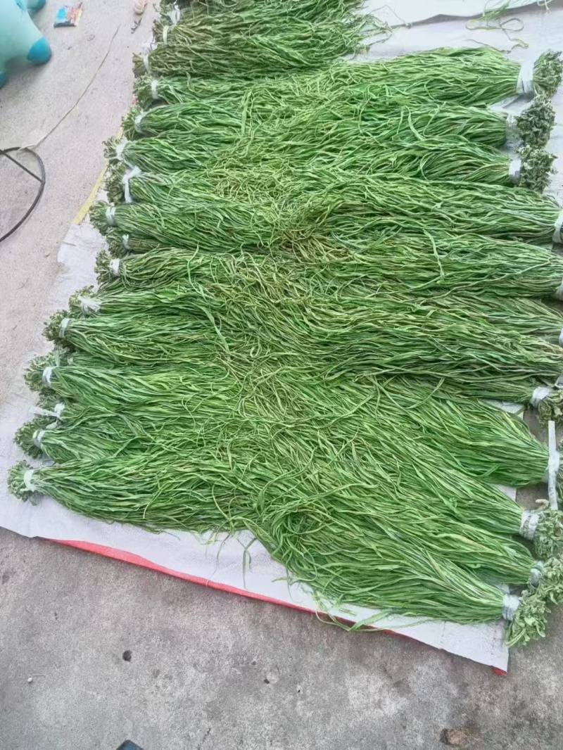 托盘盒装贡菜云南干贡菜货源稳定对接市场商超火锅店代发全国