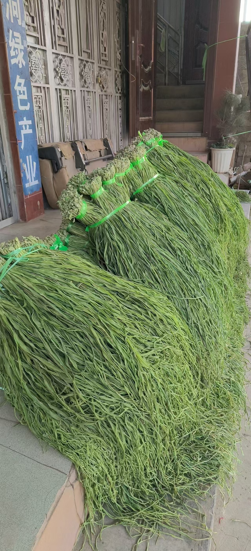干贡菜散装楚雄贡菜自然晾干货源稳定对接市场商超火锅店代发
